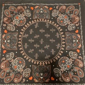 Bandana/Headband Set